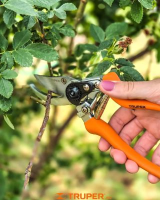Rýchly strih, čistá záhrada, spokojný pocit. TRUPER T-45 sú tie nožnice✂️, ktoré sadnú do ruky. Žiadne zložité fígle, len...